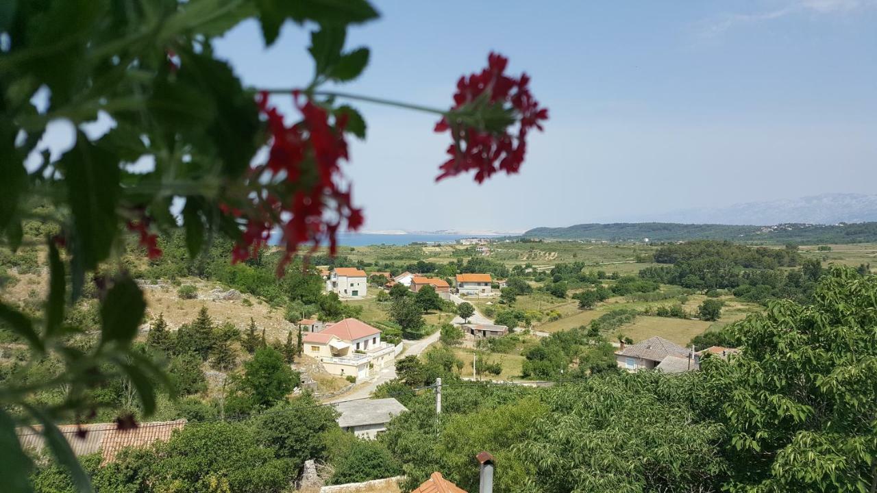 Apartment Cernesa Ražanac Eksteriør bilde